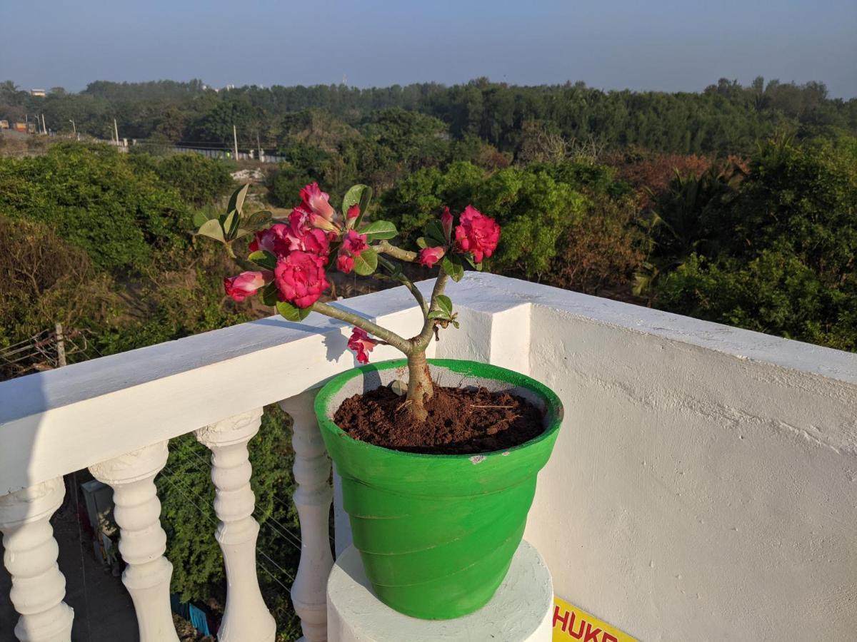 Blue Moon Guest House Mahabalipuram Εξωτερικό φωτογραφία